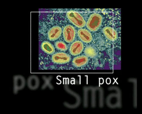 Falschfarbenfoto Small pox Viren